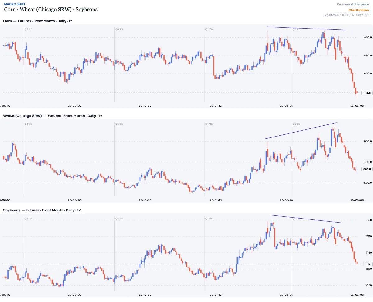 Macro Shift — Corn · Wheat · Soybeans, the grain divergence
